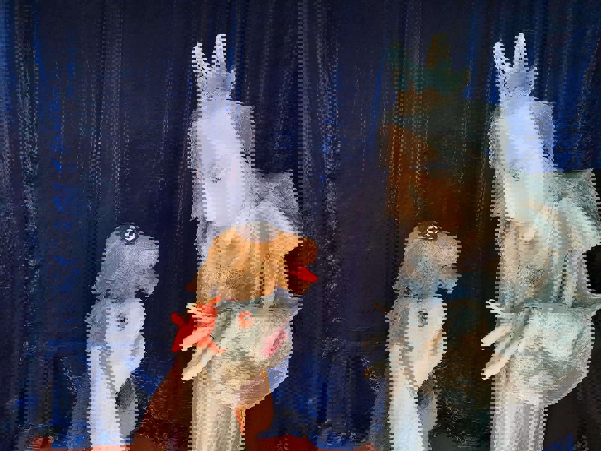 Rikkie en Bruno redden de Noordpool - kersteditie