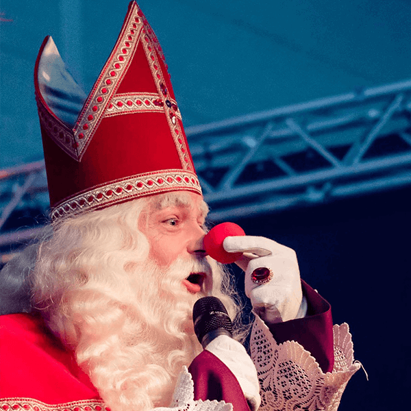Anders met Sander Sinterklaasshow