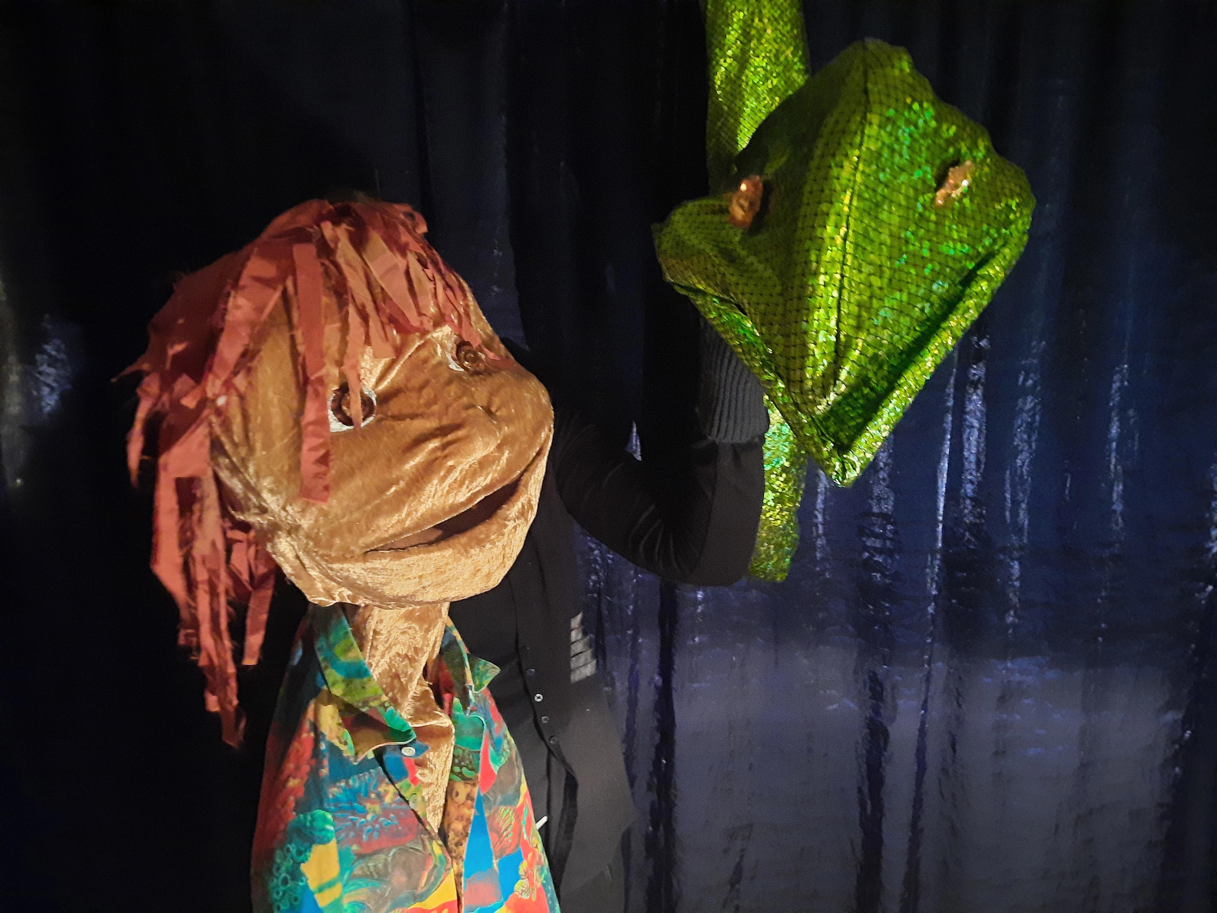 Avontuur in het regenwoud