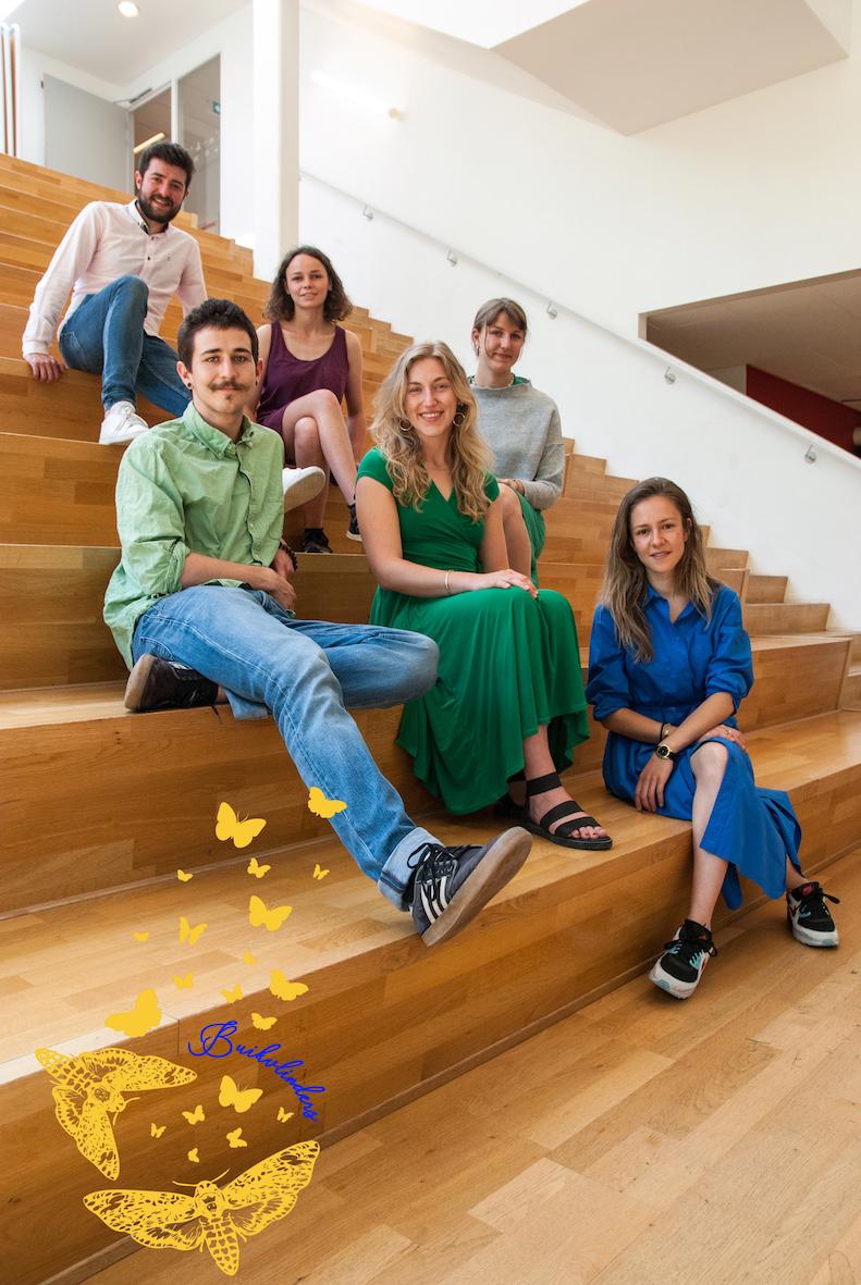 Orkestleden Buikvlinders