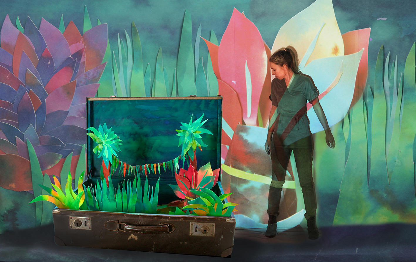 Deze koffer is te zien in de voorstelling. Hierin is een oerwoud met aapjes te zien.