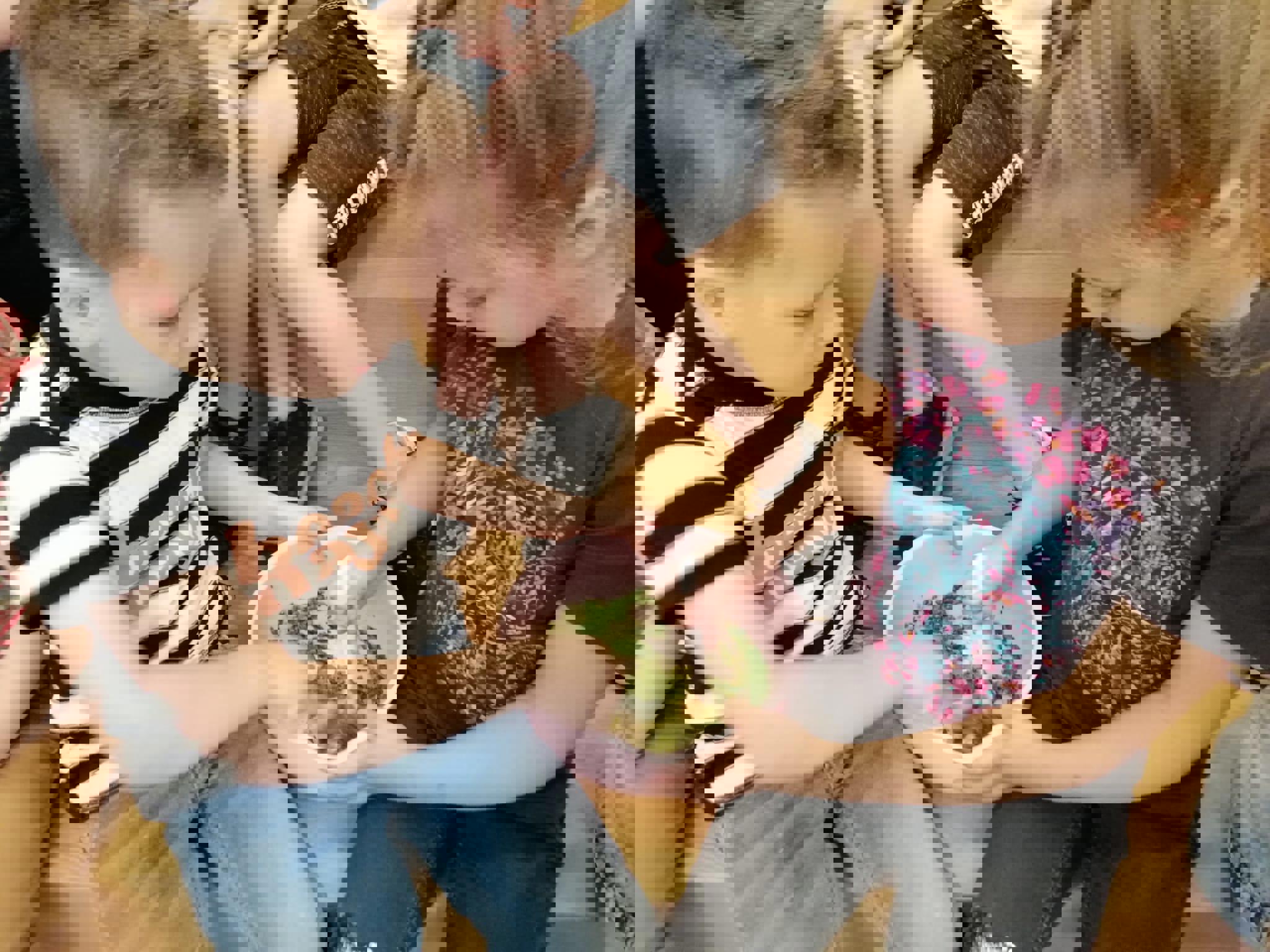 Hoe maak je een koeienvlaai?