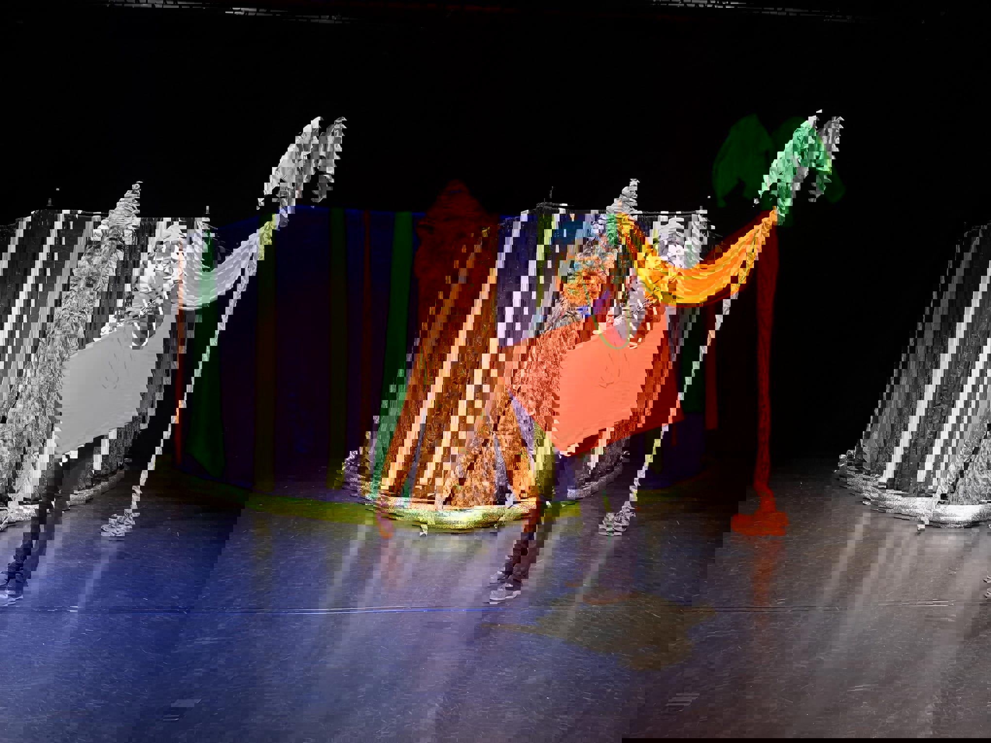 Redders van het Regenwoud