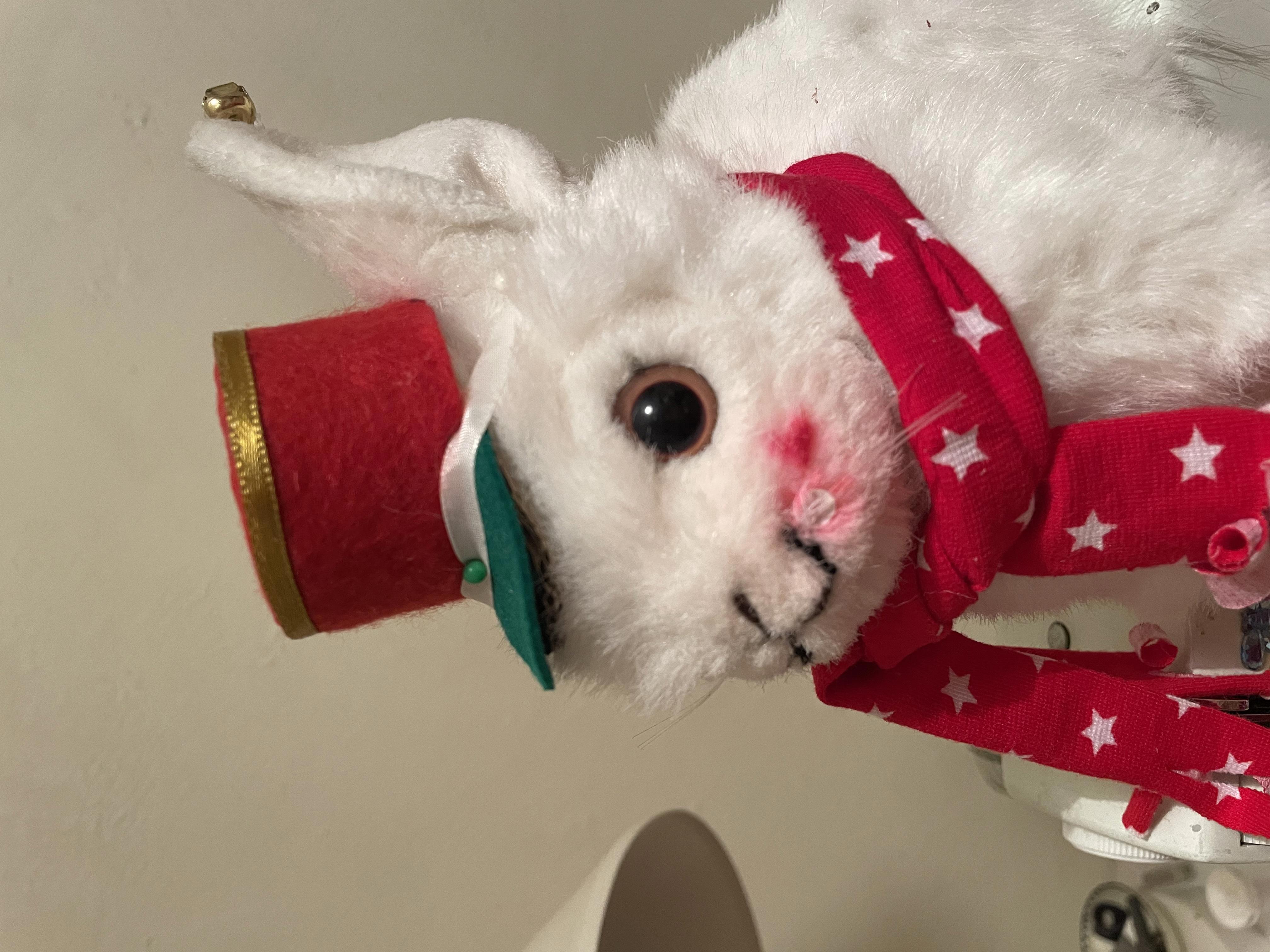 Keesje  Konijn wacht op de trein die uit Spanje aankomt met Sinterklaas erin. Hij moet alles regelen op het station.