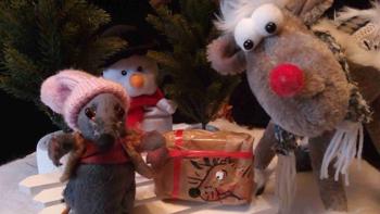 Kleine Muis en de pakjes